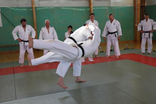 JudoCeintureNoireMathias150618 (44)